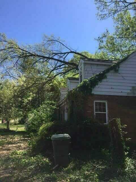 Emergency Tree Service Memphis
