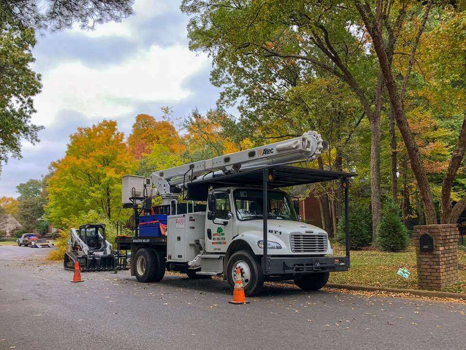 Tree Services Most Needed in Memphis, TN